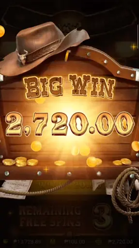 Big Wins in Wild Bounty Showdown — Discover the Big Wins 